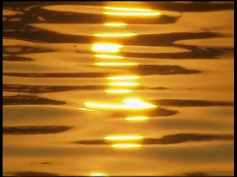 金色的夕阳映照在荡漾的湖水上视频素材