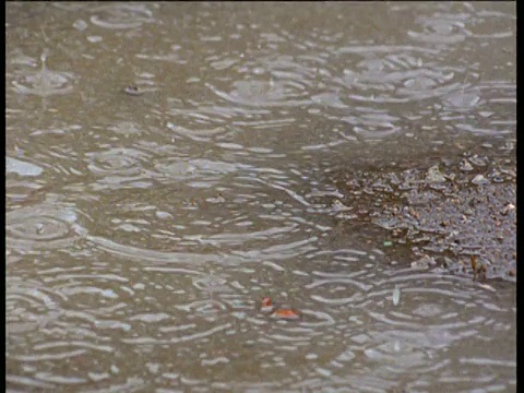 雨点落在稀树草原上的水坑里视频素材