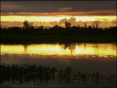 夕阳下，金色的天空和滚滚的云倒映在湖边，岸边树木成行视频素材