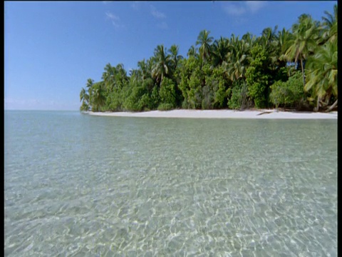 浅海和热带海滩，马尔代夫视频素材