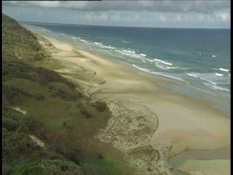 在弗雷泽岛，海鹰沿着海滩向前飞行视频素材