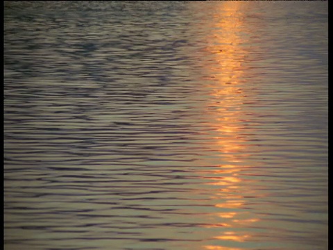 在印度平静的恒河上反射的夕阳视频素材