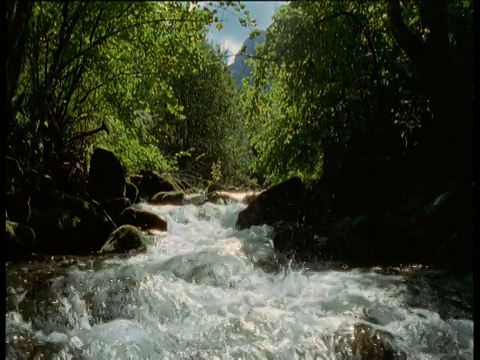 西班牙，河流越过岩石流向照相机视频素材