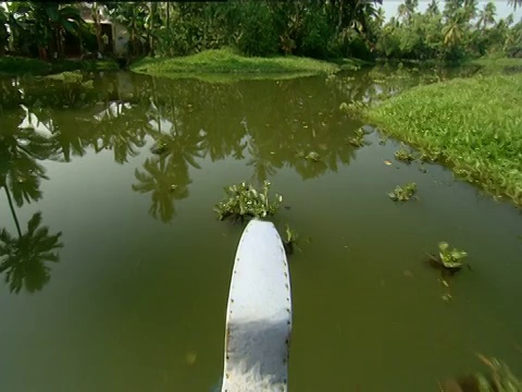 一艘小型摩托艇穿过喀拉拉邦的闭塞地区视频素材