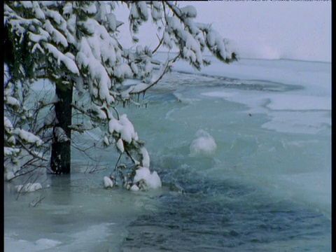 西伯利亚，冰冷的河水流经积雪的松林视频素材