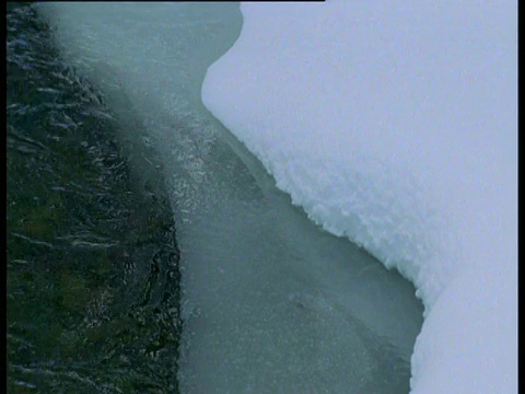 西伯利亚，冰封的河流在雪中流动视频素材