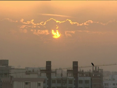 太阳从云层中升起，鸟儿栖息在孟买上空的电缆上视频素材