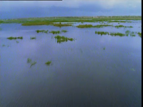 穿越澳大利亚北领地东鳄鱼河沼泽泛滥平原的快速通道视频素材