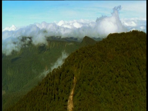 经过森林山脊，星山，巴布亚新几内亚视频素材