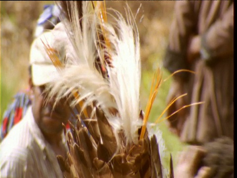 在巴布亚新几内亚的哈根山(Mount Hagen)表演上，镜头转向戴着传统头饰和服装的巴布亚村民视频素材