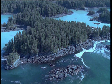 阿拉斯加锡特卡，沿海岸地区，海水因太平洋鲱鱼产卵而变白视频素材