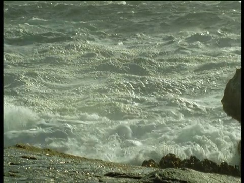 福克兰群岛，海浪冲击着岩石海岸，冲向摄像机视频素材