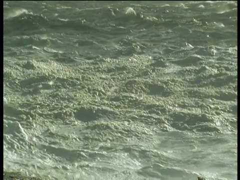 福克兰群岛，海浪撞击岩石时溅起浪花视频素材