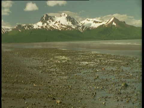 退潮与雪山的背景，阿拉斯加视频素材