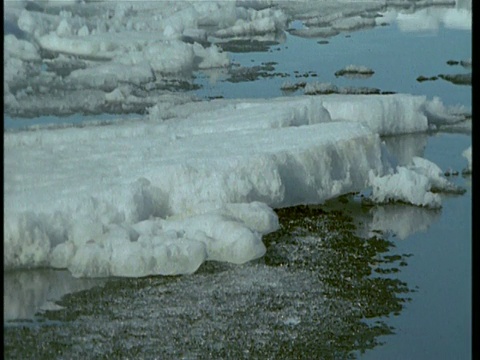 加拿大北极湾，海冰在陆地上磨碎视频素材