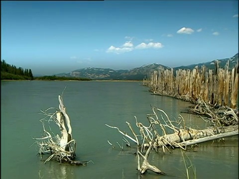 潘从树木成行的岸边到群山的背景，在加拿大育空河拉伯奇湖的深蓝色天空前视频素材