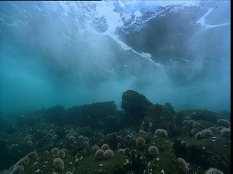 加拉帕戈斯群岛，海浪冲过相机视频素材