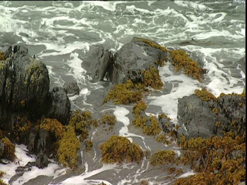 海浪拍打着苏格兰海岸的岩石视频素材