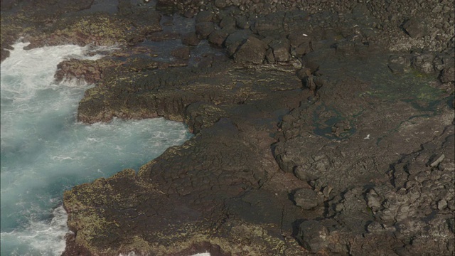 追踪飞过熔岩海岸的海鸟视频素材