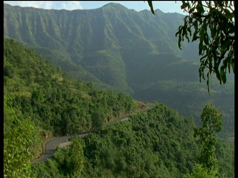 4 × 4通过山地森林路径夏威夷视频素材