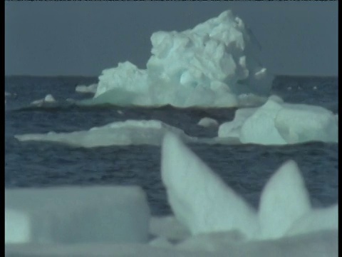 冰山在海里漂浮视频素材