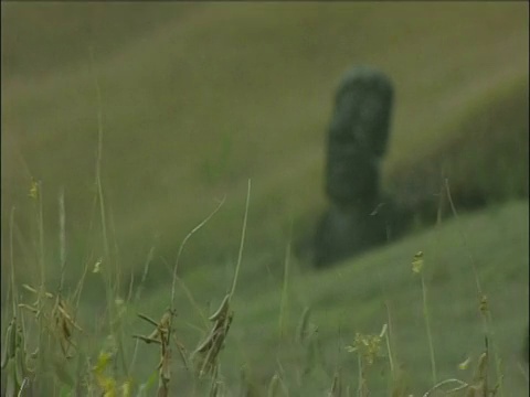 摩埃石像和草在前景复活节岛视频素材