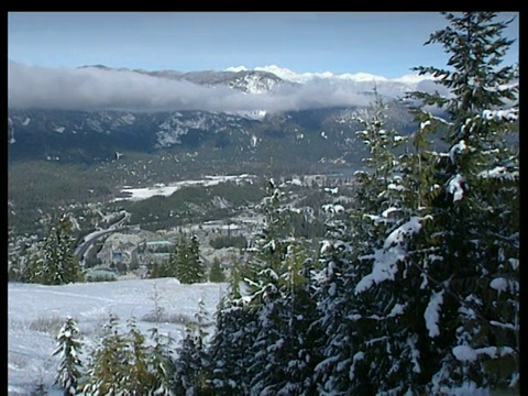 潘留下的积雪覆盖的山谷雪梢树在前景低云落在雪峰山在远方惠斯勒视频素材