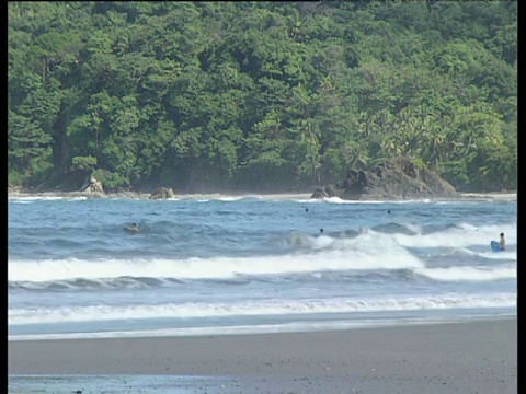 人们在海浪中游泳和冲浪，在哥斯达黎加的奎波斯海滩上晒太阳。视频素材