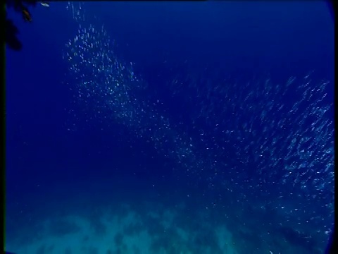 银色的浅滩转弯和闪光，红海视频素材