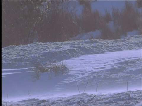 大风把雪吹过地面视频素材