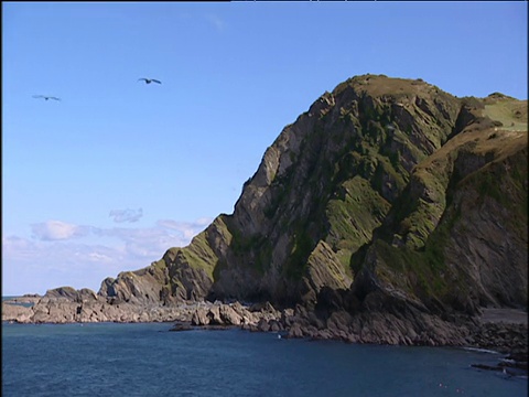 海岸峭壁上覆盖着绿色植被。海鸥在明亮的天空下飞过蓝色的海面视频素材