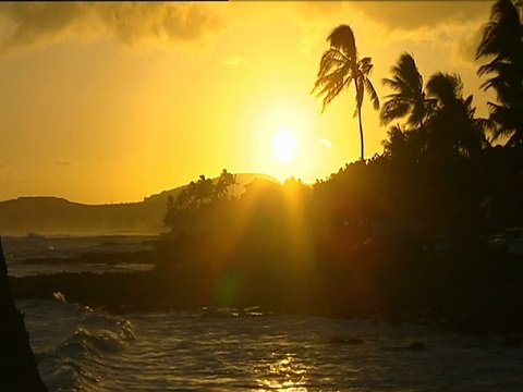 金色的夕阳，棕榈树的剪影在风中摇曳，阳光在拍打海岸的海浪上闪烁。考艾岛波伊普海滩度假村。视频素材