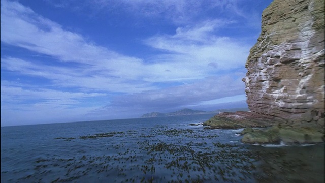 在南非海岸线上的海洋和岩石周围的轨迹。视频素材