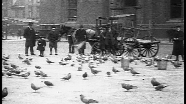 1916年，男人和孩子在市政厅喂鸟/费城/新闻短片视频素材