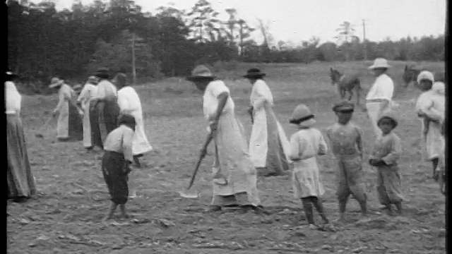 B/W 1920 PAN黑人妇女+儿童在田里锄地/美国南部/纪录片视频素材