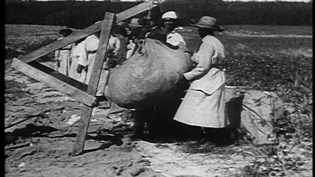 1920年，美国南部，黑人佃农妇女在室外看着监工给棉花称重视频素材