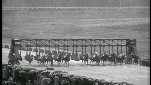 1935年B/W潘骑师在比赛中骑着马从起跑门+转弯处起飞视频素材