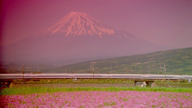 子弹头列车通过鲜花田/富士山背景/滤镜的宽镜头视频素材