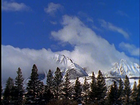 在积雪的内华达山脉/树木的前景/加利福尼亚的时间流逝云的宽镜头视频素材