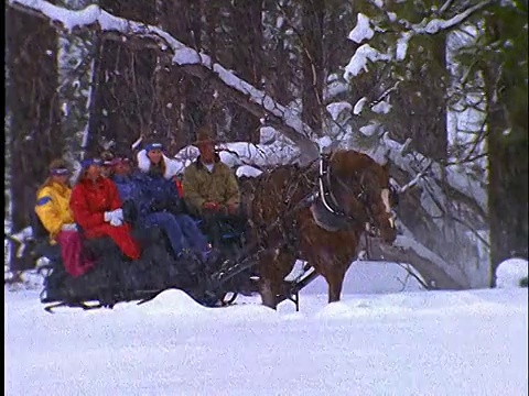 慢镜头，人们在雪地里乘坐马拉的雪橇视频素材