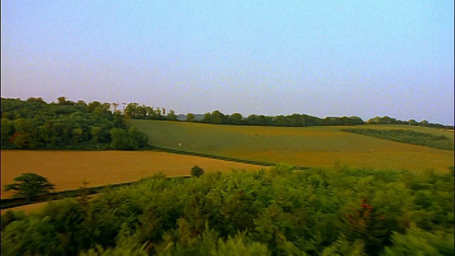 AERIAL + green + golden Hills country with trees / Chiltern Hills，牛津郡，英格兰视频素材