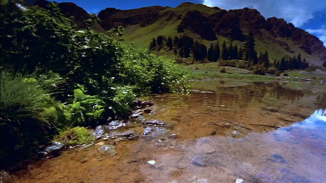 随着时间流逝的云+阴影/绿色的落基山脉背景/科罗拉多视频素材