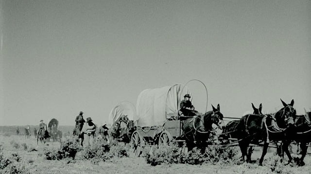 1850年的重演，人们骑着有篷的马车，马+在马车队中行走在平原上视频素材