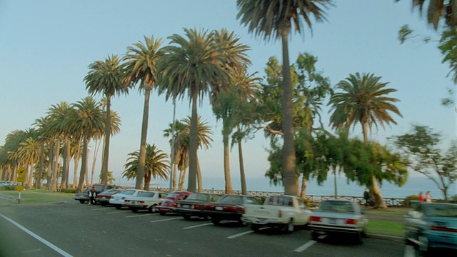 侧车的观点过去的汽车+棕榈树沿海岸/海洋的背景/圣塔莫尼卡，加利福尼亚视频素材