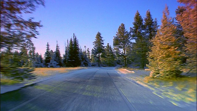 汽车的观点在雪山道路过去的松树林在早上/提顿，怀俄明州视频素材