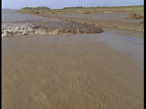 波罗罗卡河沿着亚马逊河泥泞的河岸汹涌而来。视频素材