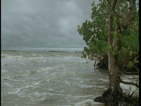 暴风雨时海浪冲到海滩上。视频素材