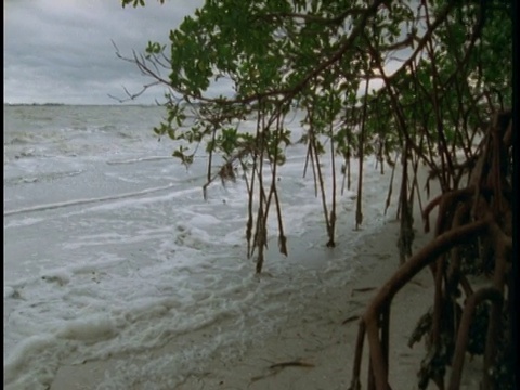 暴风雨时海浪冲到海滩上。视频素材