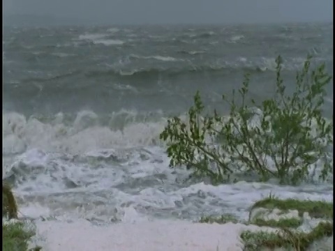 在暴风雨中，海浪撞击着小树，视频素材