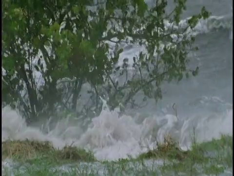 暴风雨时，海浪会漫过小树。视频素材